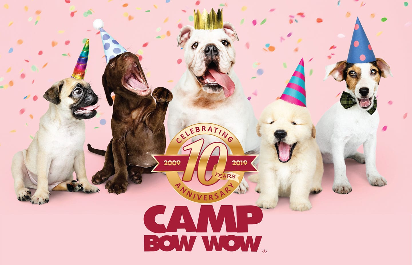 Camp Bow Wow graphic design agency kip and king marketing